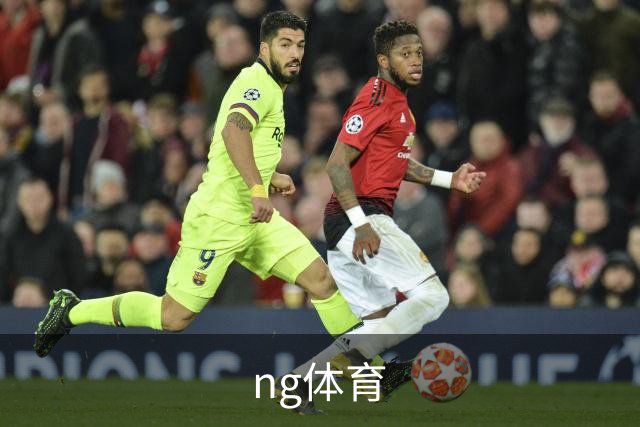 ng体育公司介绍